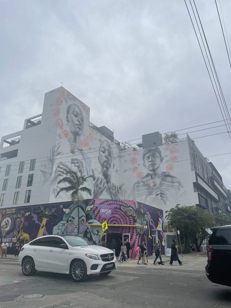 Crush trip- voyage Miami chose à faire